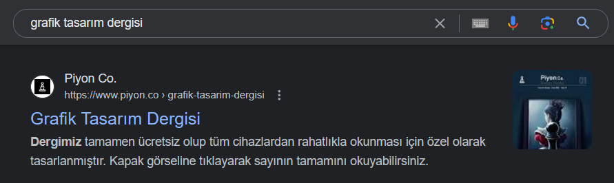 Google Arama Sonuçları
