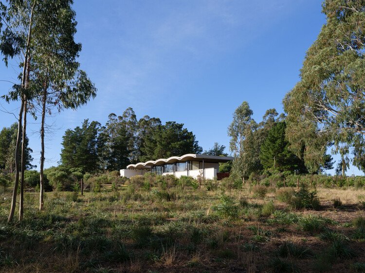 Ramand Karma Yapı: Ahşap Küpün Şehirle Dansı | White Cube Atelier