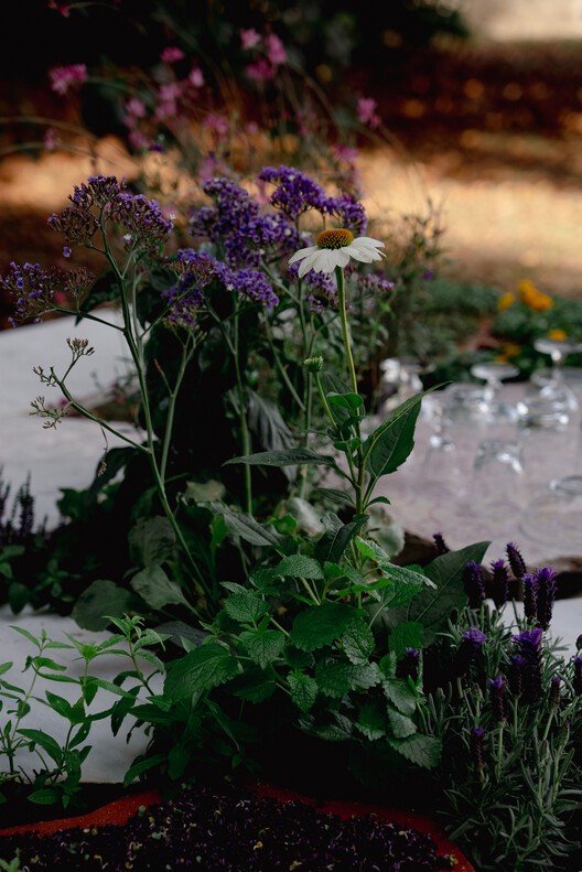 Canlı Çok Türlü Mutfak: Sürdürülebilir Yaşamın Yeni Merkezi
