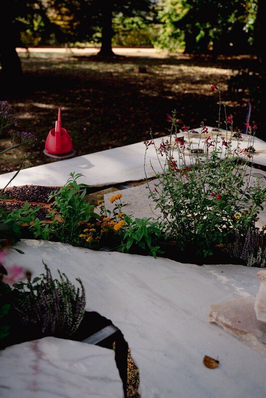 Canlı Çok Türlü Mutfak: Sürdürülebilir Yaşamın Yeni Merkezi