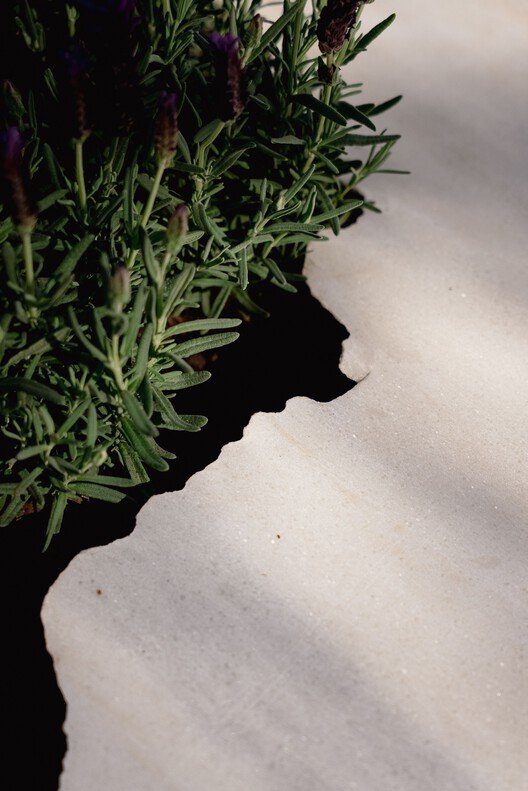 Canlı Çok Türlü Mutfak: Sürdürülebilir Yaşamın Yeni Merkezi