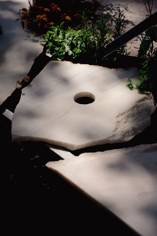 Canlı Çok Türlü Mutfak: Sürdürülebilir Yaşamın Yeni Merkezi