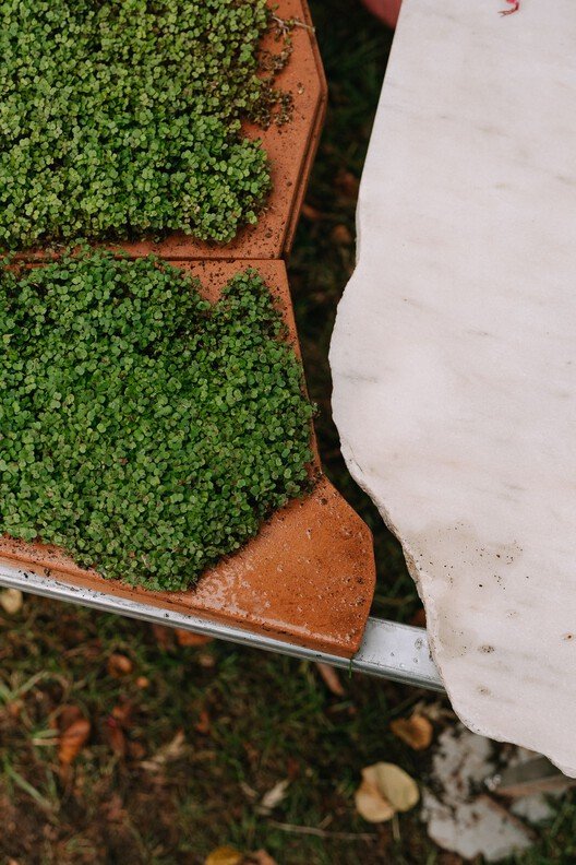 Canlı Çok Türlü Mutfak: Sürdürülebilir Yaşamın Yeni Merkezi