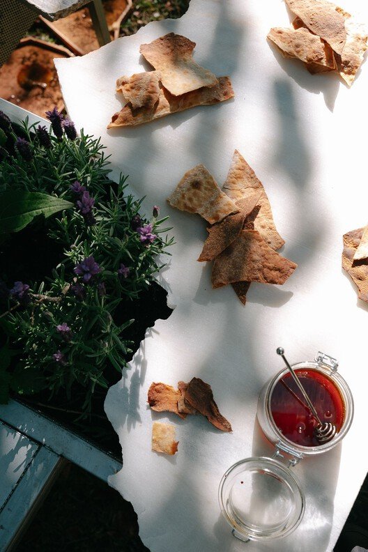 Canlı Çok Türlü Mutfak: Sürdürülebilir Yaşamın Yeni Merkezi