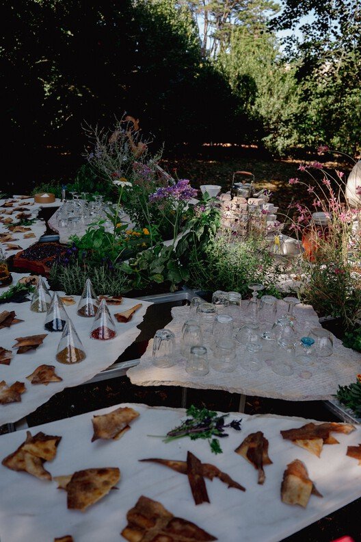 Canlı Çok Türlü Mutfak: Sürdürülebilir Yaşamın Yeni Merkezi