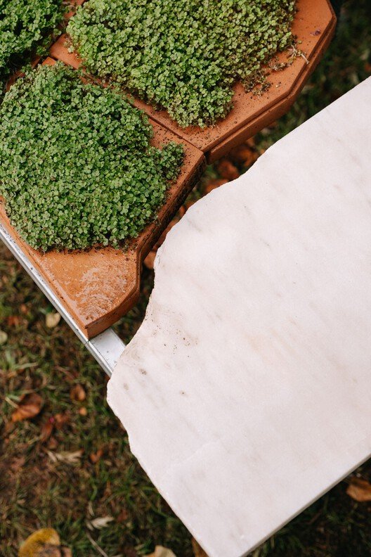 Canlı Çok Türlü Mutfak: Sürdürülebilir Yaşamın Yeni Merkezi