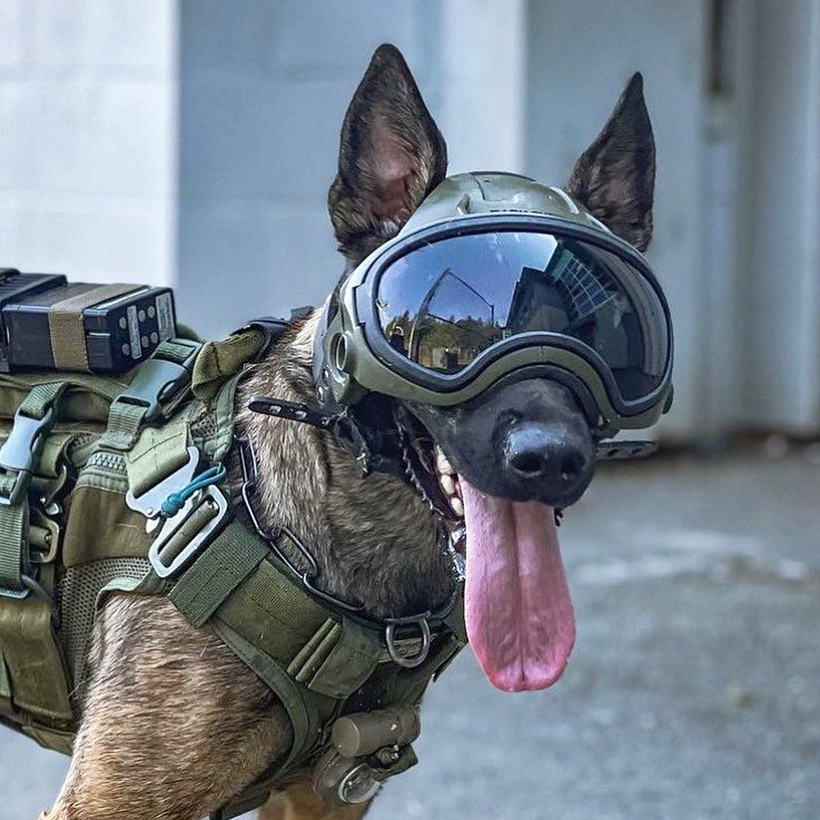 Husqvarna SmartGuard: İnşaat İşçileri İçin Akıllı Kask Devrimi