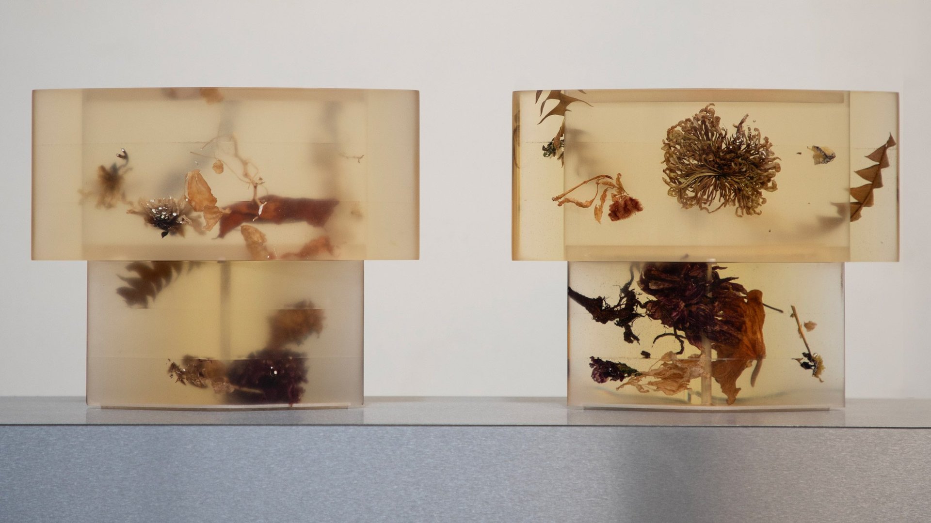 Japon Mutfak Sanatı: Her Yemeği Ritüele Çeviren 7 Akıllı Tasarım