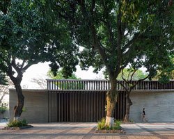 Paraguay'da Toprak Ev: Ağaçlarla Dans Eden Mimari Bir Hikaye