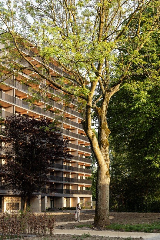 Valckensteyn: Rotterdam'ın İlk Ahşap Konutu, Sürdürülebilir Bir Vizyon