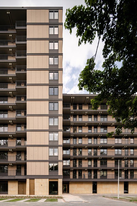 Valckensteyn: Rotterdam'ın İlk Ahşap Konutu, Sürdürülebilir Bir Vizyon