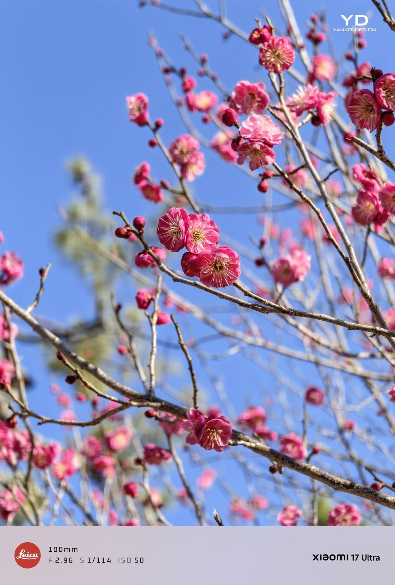 Xiaomi 17 Ultra İncelemesi: Tasarımda Zirveye Ulaşan Amiral Gemisi