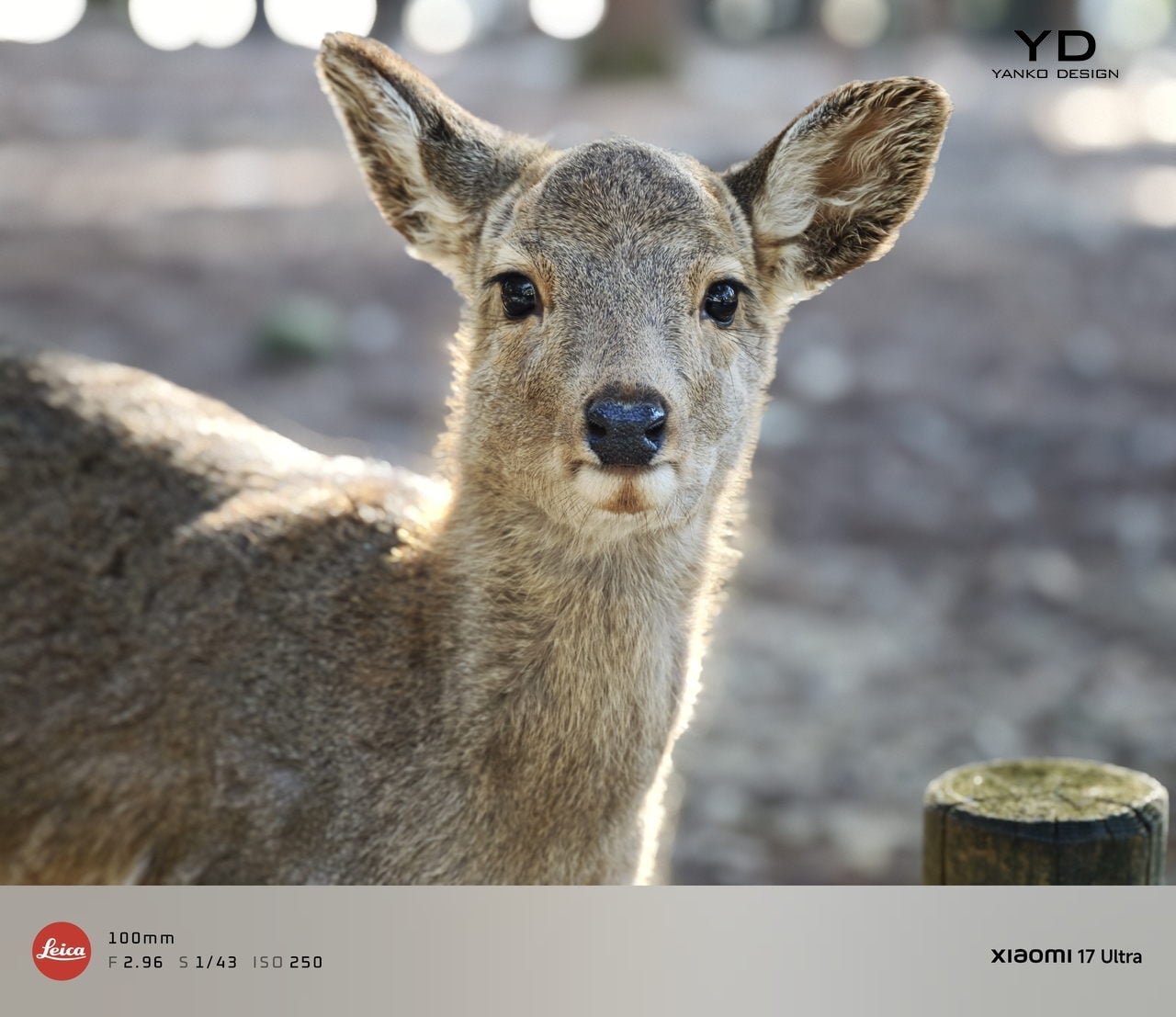 Xiaomi 17 Ultra İncelemesi: Tasarımda Zirveye Ulaşan Amiral Gemisi