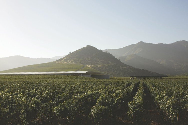 Pritzker 2026: Smiljan Radić Clarke'ın Şili'den Yükselen Kırılgan Mimarisi