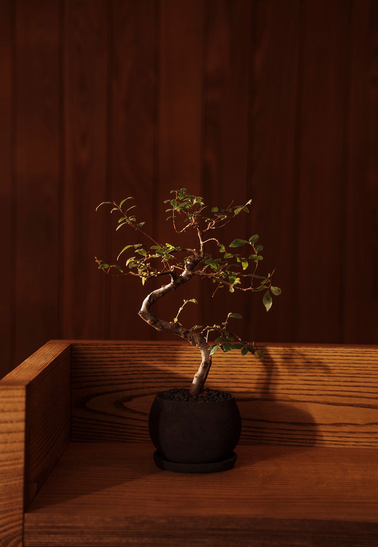 Akari ile New York’ta Otantik Sauna Deneyimi: Tasarımın Gücü