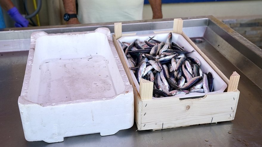 Yay Derdine Son: Mael Sandoz'dan Yaysız Akıllı Lamba Tasarımı