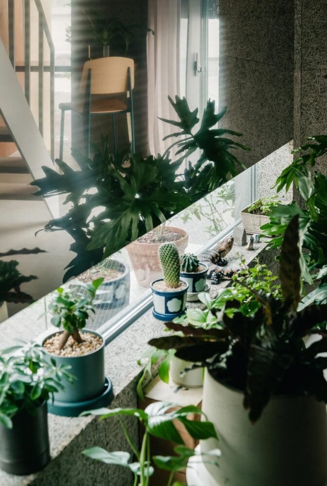 Beton ve Ahşap Konuşuyor: Osaka'da Kentsel Yaşamın Yeniden Tanımı