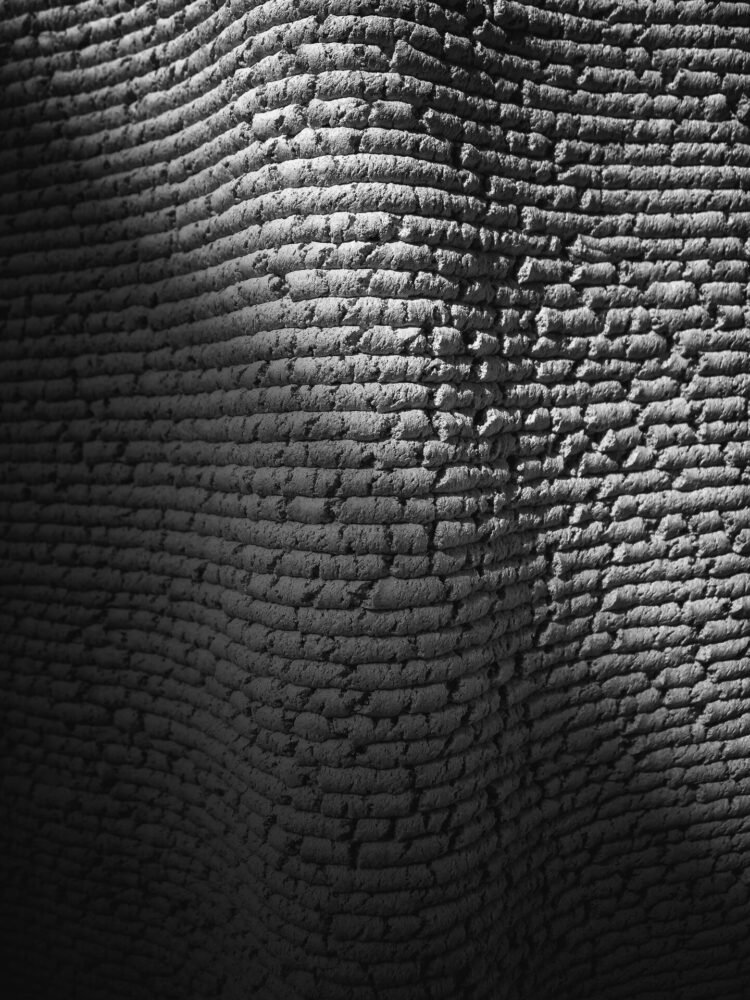 CORNCRETL: Mısır Atıklarıyla Sürdürülebilir İnşaatın Yeni Yüzü