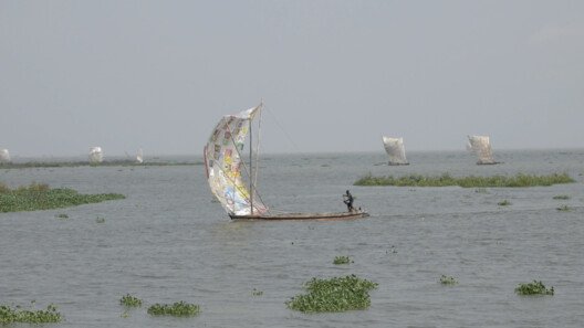 Lagos'u Dansla Şekillendiren Dele Adeyemo: Yeni Mekanlar Yaratmak