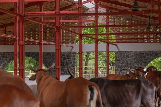Gaughar: Mimariyle Hayvan Refahında Yeni Bir Çığır Açmak