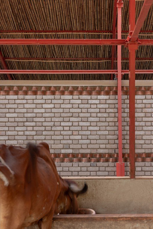 Gaughar: Mimariyle Hayvan Refahında Yeni Bir Çığır Açmak