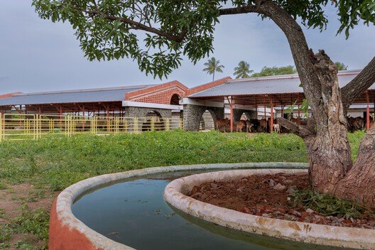 Gaughar: Mimariyle Hayvan Refahında Yeni Bir Çığır Açmak