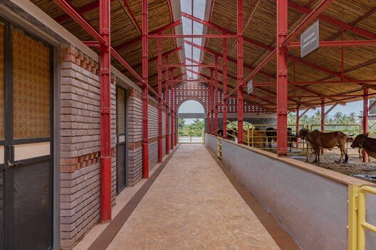 Gaughar: Mimariyle Hayvan Refahında Yeni Bir Çığır Açmak