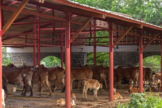 Gaughar: Mimariyle Hayvan Refahında Yeni Bir Çığır Açmak