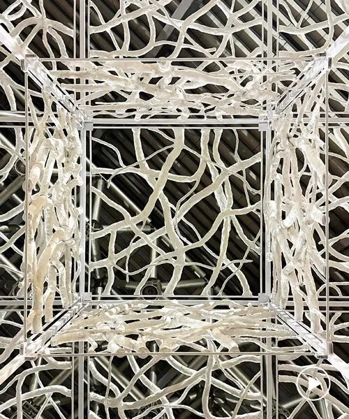 Morphosis: Atık Kağıdı Nefes Alan Mimariye Dönüştüren Enstalasyon