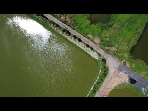 Hong Kong'un Dijital Mimarisi: 'Bulut'un Görünmez Bedeli