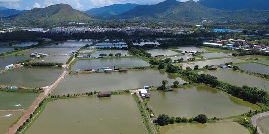 Hong Kong'un Dijital Mimarisi: 'Bulut'un Görünmez Bedeli