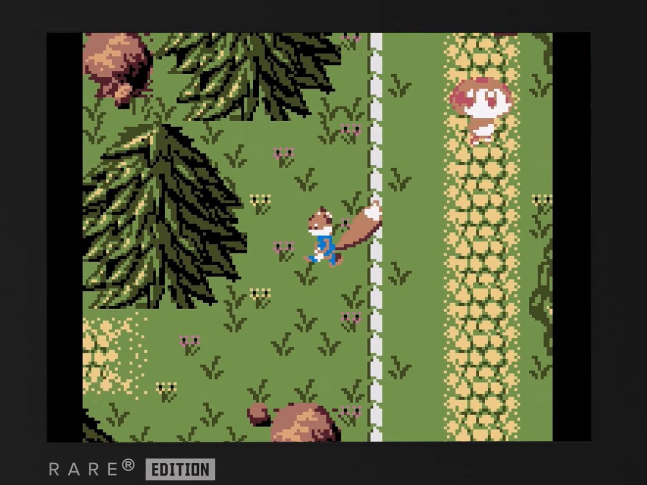 Super Pocket Rare Edition: Kartuşlu Retro Oyunun Cebinizdeki Hali