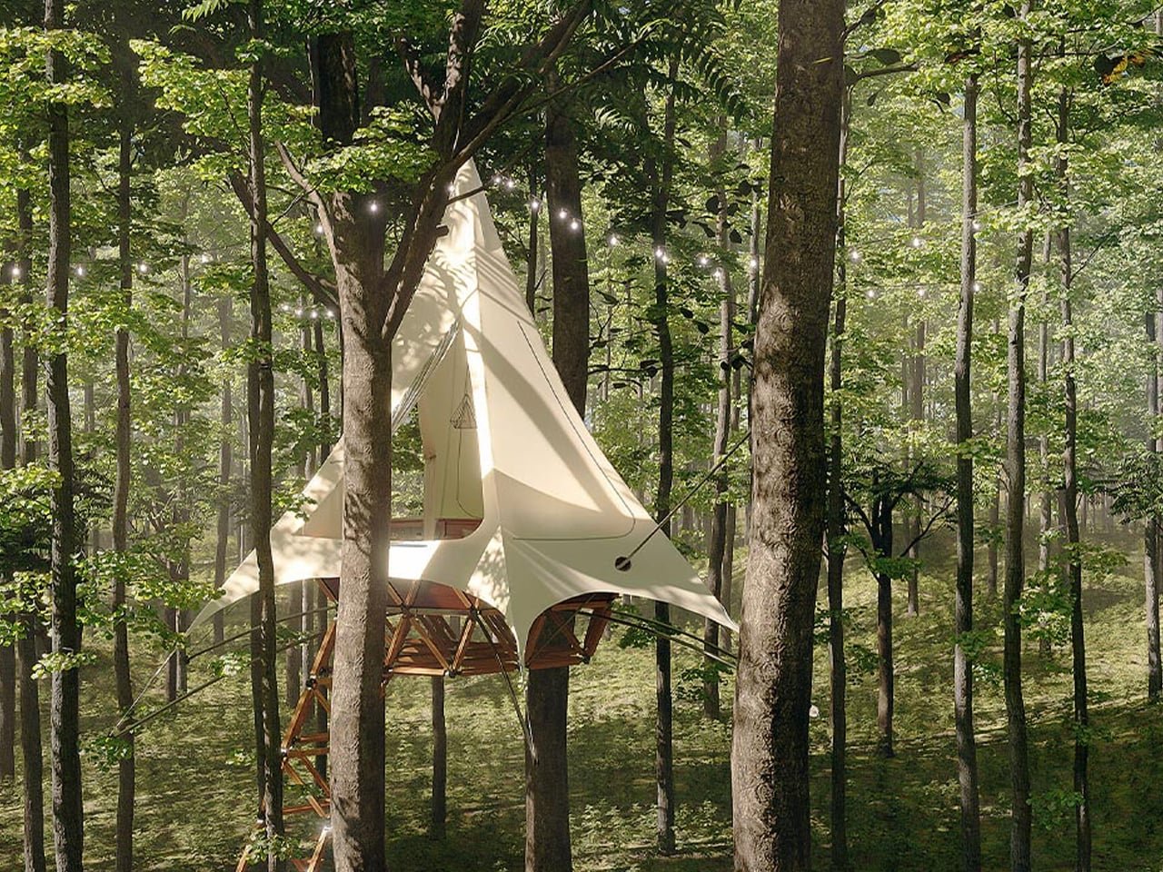 Lüks Kaçış Noktası Olarak Modern Ağaç Evler: 5 Çarpıcı Sebep