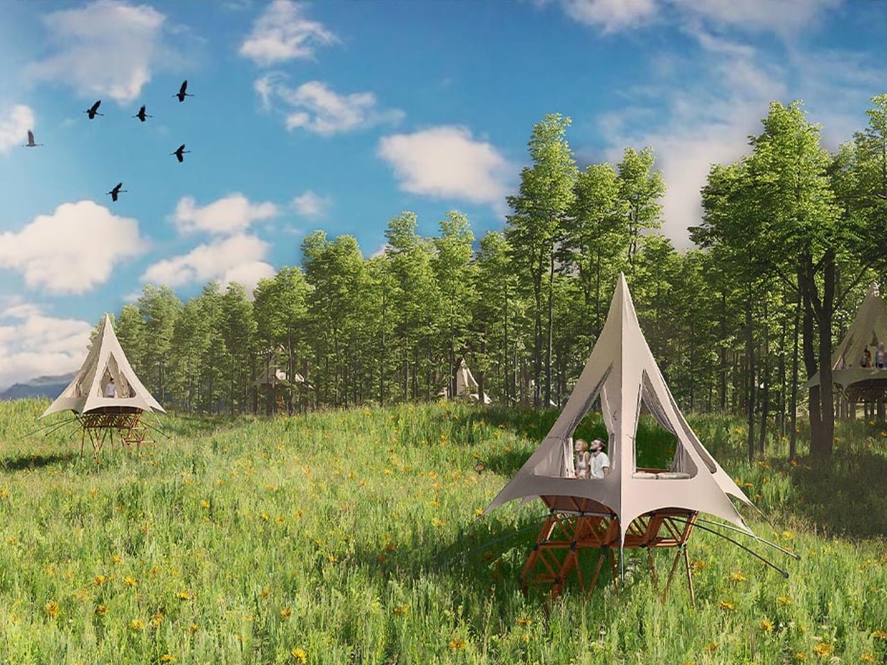 Lüks Kaçış Noktası Olarak Modern Ağaç Evler: 5 Çarpıcı Sebep