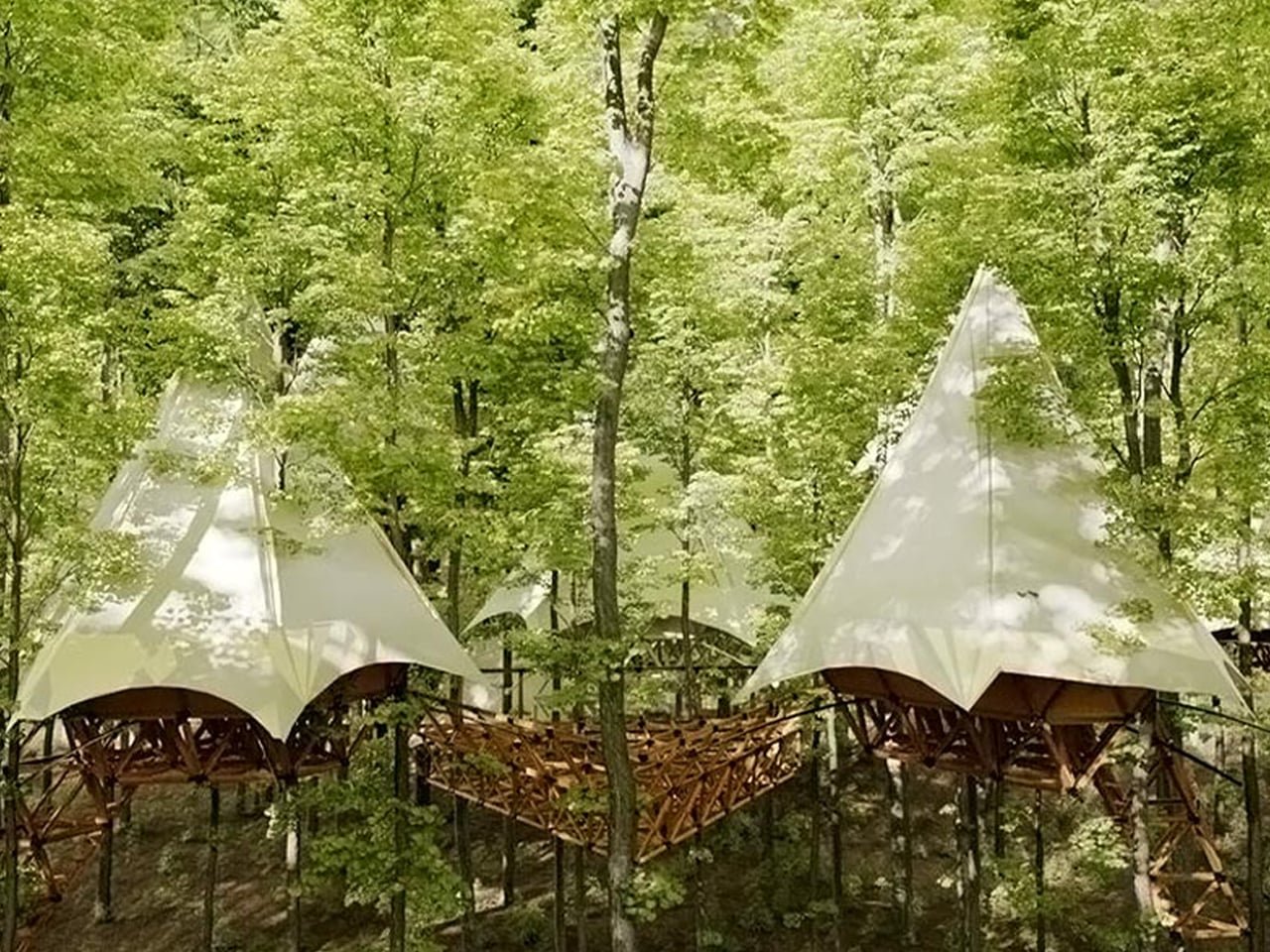 Lüks Kaçış Noktası Olarak Modern Ağaç Evler: 5 Çarpıcı Sebep