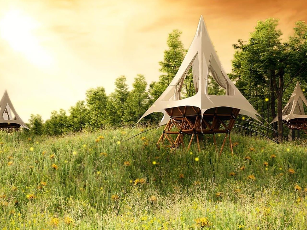 Lüks Kaçış Noktası Olarak Modern Ağaç Evler: 5 Çarpıcı Sebep