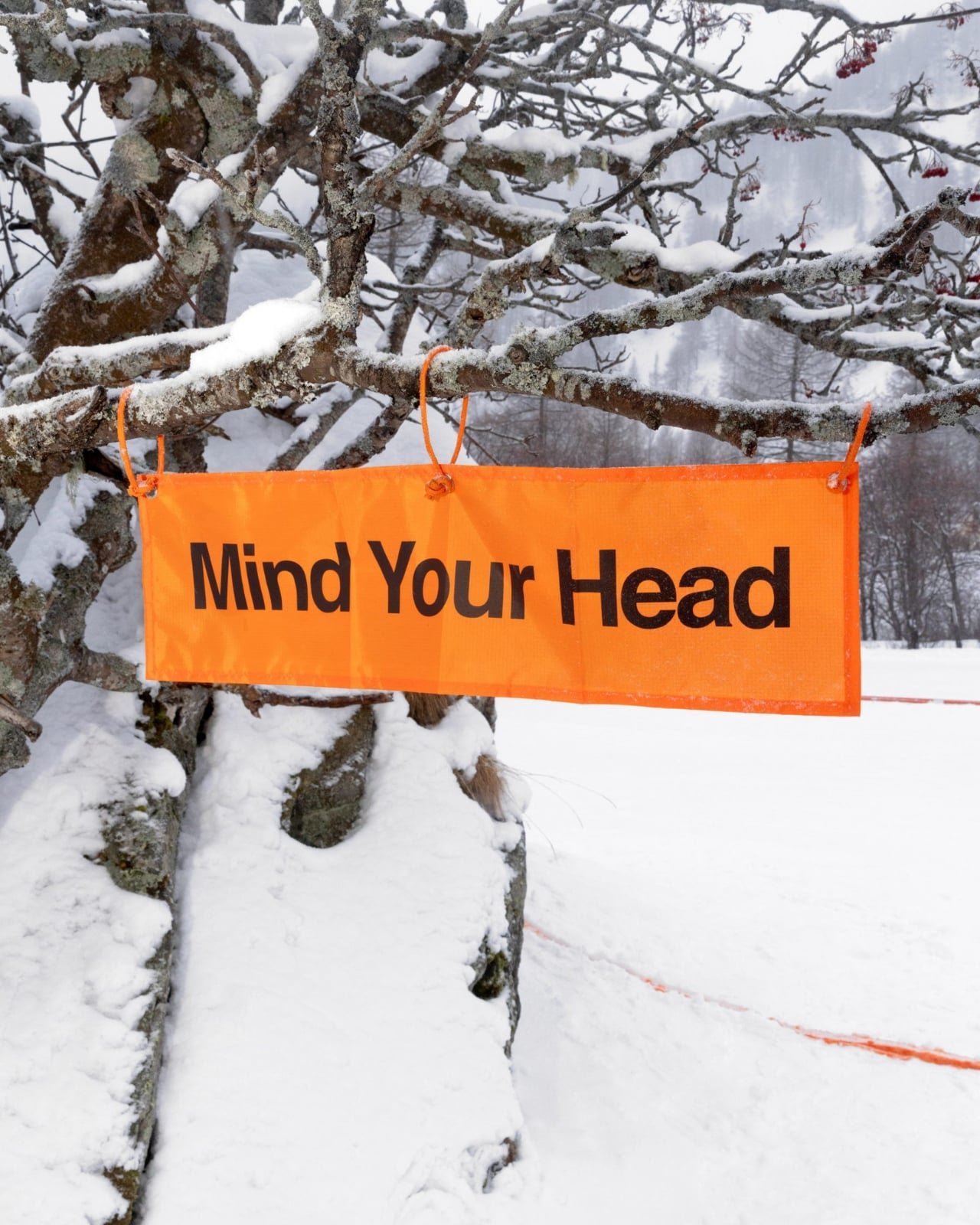 Nike’tan Çığır Açan Çözüm: Her Yere Kurulabilen Modüler Stadyum