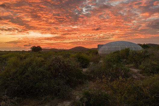 Casa Wabi'de OMA İmzası: Sanat, Doğa ve Mantar Mimarisi Buluşuyor