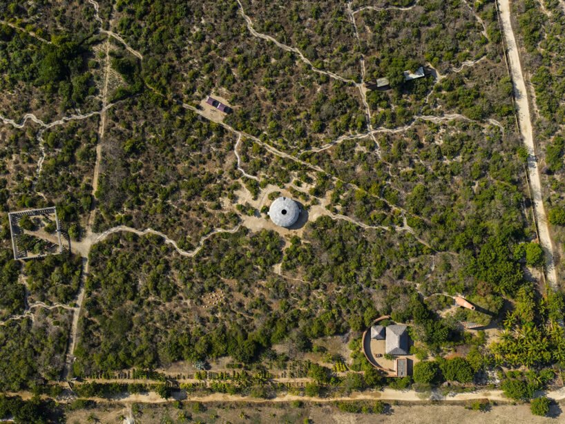 OMA'dan Meksika'da Sanat ve Doğa İç İçe: Mantar Pavilyonu