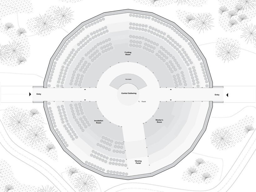 OMA'dan Meksika'da Sanat ve Doğa İç İçe: Mantar Pavilyonu
