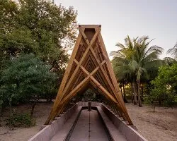 OMA'dan Meksika'da Sanat ve Doğa İç İçe: Mantar Pavilyonu