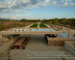 OMA'dan Meksika'da Sanat ve Doğa İç İçe: Mantar Pavilyonu