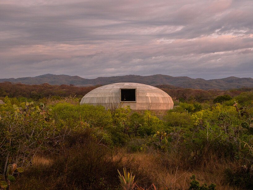 OMA'dan Meksika'da Sanat ve Doğa İç İçe: Mantar Pavilyonu