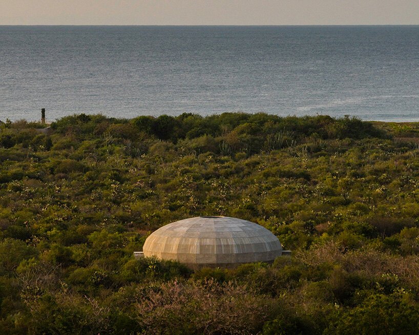OMA'dan Meksika'da Sanat ve Doğa İç İçe: Mantar Pavilyonu