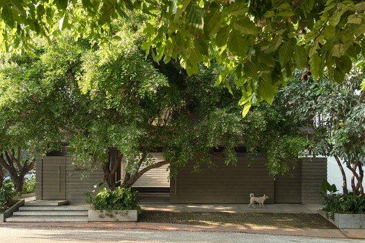 Organik Kent Dokusu ve Merdivenin Evrimi: Basamaklı Kuyu Ev