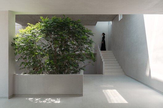 Organik Kent Dokusu ve Merdivenin Evrimi: Basamaklı Kuyu Ev