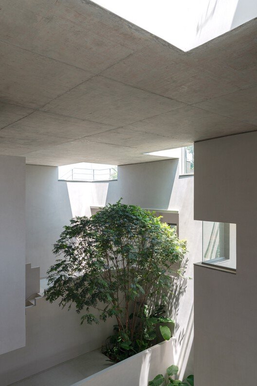 Organik Kent Dokusu ve Merdivenin Evrimi: Basamaklı Kuyu Ev