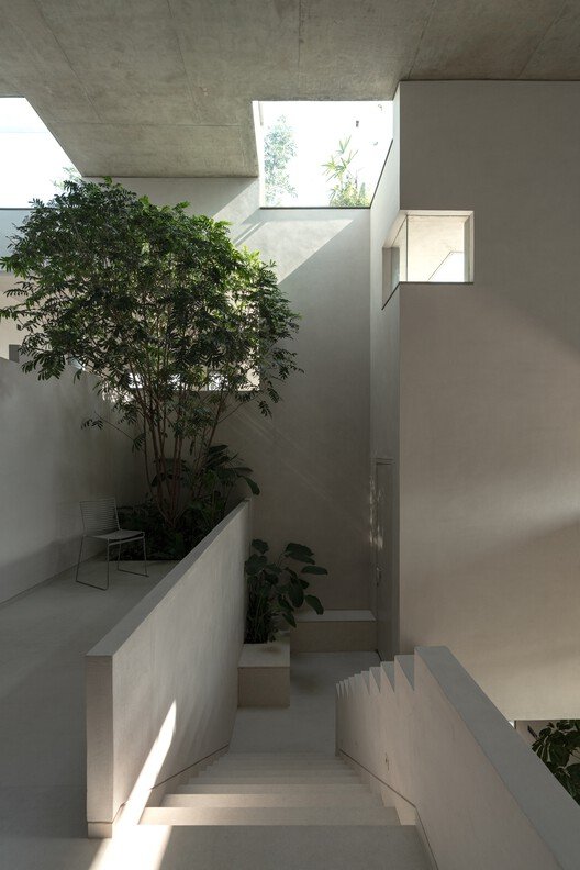 Organik Kent Dokusu ve Merdivenin Evrimi: Basamaklı Kuyu Ev