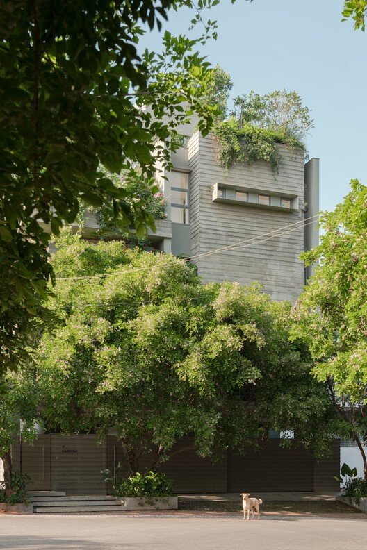 Organik Kent Dokusu ve Merdivenin Evrimi: Basamaklı Kuyu Ev