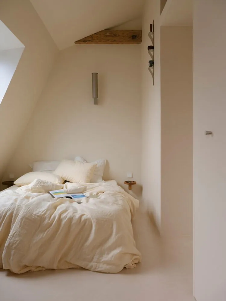 Paris'in Çatıları Uyanıyor: Küçük Odalardan 55m² Modern Destan